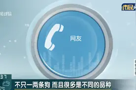 过分!徐汇滨江这一幕…网友:风气就这样被带坏了图片