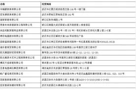 首批416家家具销售企业参与湖北省家装“焕新”活动图片