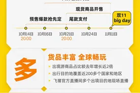 力度比去年更大、商品丰富度创新高，飞猪双11升级为“全球旅行节”图片