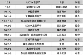 2024国庆档音乐节观察：数量锐减五成，异地观演特征明显图片