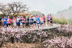 2024还没结束，2025年的马拉松名额已经抢疯了图片