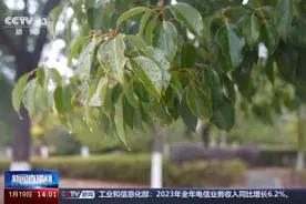 冷冷冷！2024首场寒潮将强势出击 注意防风保暖图片