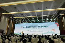 从果园到餐桌：茂名荔枝的电商丰收季图片