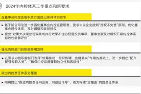 国资内控监管新动态：持续推进中央企业内控建设与监督图片