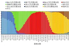 新冠新毒株KP.2、KP.3 感染后症状较轻图片