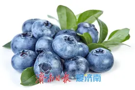 蓝莓的“蓝色”秘密——不止是色素这么简单图片