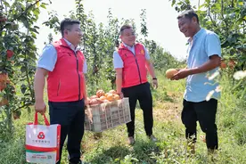 兰陵农商银行：“三位一体”助力新农主体欣欣向荣图片