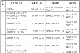 江苏东方盛虹股份有限公司获得政府补助3.06亿元图片