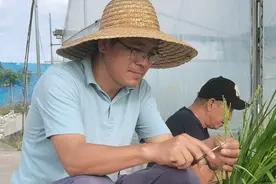 南国智库·观察丨中央一号文件里看南繁硅谷建设变化图片