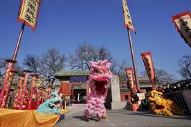 千狮闹春！南北舞狮齐聚东岳庙图片
