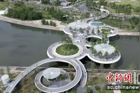 成都锦江添新景：交子人行桥向公众开放图片