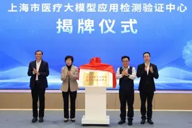 国内首个医疗大模型检测验证平台成立｜模塑申城图片