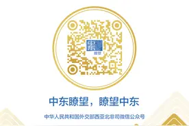 雪克来提·扎克尔出席阿联酋国庆53周年暨中阿建交40周年招待会图片