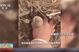 养“海鲜”、采蘑菇、种良田！中国人“爆改”沙漠，太震撼图片