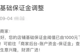 拼多多“百亿减免”引商家热议：平台、商家、消费者都会受益图片