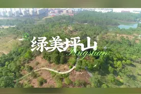绿美坪山｜聚龙山生态公园：会呼吸的绿色乐园图片
