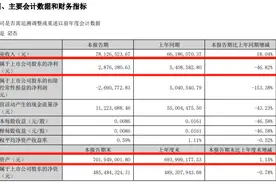 罕见“B转A”！又一重磅并购重组来了，明起停牌图片