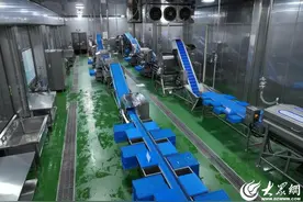 铸就胜利工程 成就胜利品牌 ——中石化胜利建工市政工程项目管理部河口中央厨房项目建设纪实图片