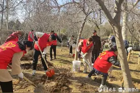 上春山，“种”春天，济南公园景区添新绿图片
