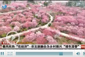 荆州：春风吹热“花经济” 农文旅融合为乡村振兴“增色添香”图片