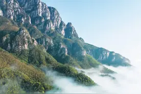 入庐山，品雾根茶图片