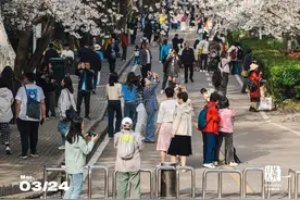 今天，雷军回武汉看樱花了！图片