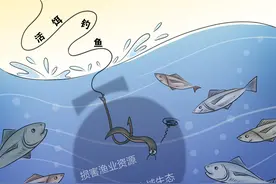 用活泥鳅钓鱼被判刑，是一堂普法课图片