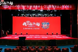 从辣条到辣味，卫龙多元布局膨化零食赛道欲何为？图片