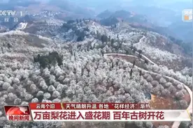 “花样经济”升温 带你“花式”解锁好春光图片