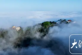 满目山花竞芬芳 九华山给你“诗和远方”图片