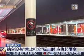 这里打伞有触电风险？权威说法来了！图片