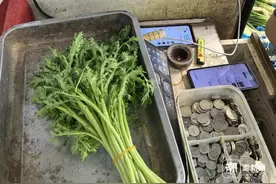 “菜贵难拿！”买菜送小葱的杭州老板无奈：真送不起了图片