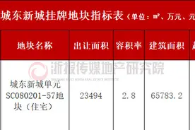与杭州IFC更近一步 主城改善首选 安琪儿“补货” 新房价格不变图片