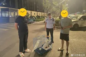 现实版汪汪队：派出所的“寻宠大冒险”图片