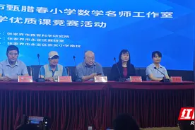 探寻数学奥秘 展现数学风采——2024年度张家界市甄腊春小学数学名师工作室课堂教学优质课竞赛活动圆满落幕图片