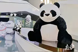 走进国宝的世界，大熊猫VR沉浸式主题展览在珠海金湾开展图片