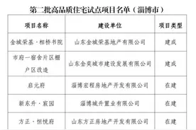 淄博楼市新动向！8个住宅项目荣登山东省高品质试点榜单，未来可期！图片