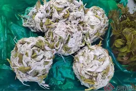 云南临沧的春天有点“野”图片