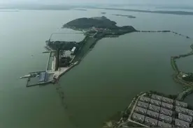 绝！鄂州有片“水下森林”图片