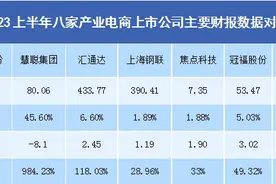 张周平：8家产业电商半年营收比拼，汇通达第一卓创最少图片