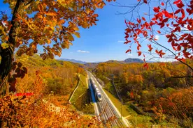 乘着“东北最美高铁”🍁来一场叠翠流金的秋日之旅吧~图片