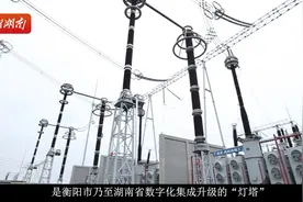思想领航·县域经济高质量发展大调研丨农业大县衡南如何“变”出工业新优势图片