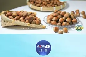 这种秋天的宝藏坚果熟啦 对降“坏胆固醇”有好处！图片