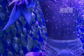 揭秘长沙爆火的“男美人鱼”：外籍花样游泳运动员，兼具力量与美感图片