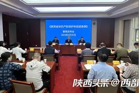 西部省份首部！ 《陕西省知识产权保护和促进条例》今起施行图片