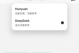 DeepSeek腾讯“同框”！民营企业大显身手正当其时图片