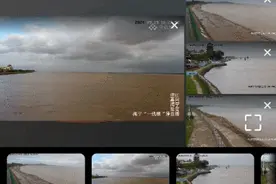 太震撼！又有罕见新发现！图片
