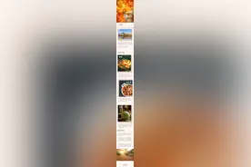 海报图品丨人间忽而秋风至，又是一年立秋时图片