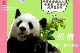 唐家河动物mbti 介绍图片