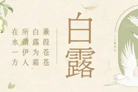 【每日社科】露珠并不白，为什么要叫“白露”？图片